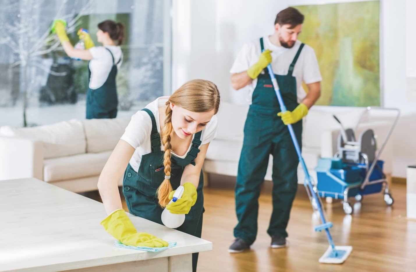 What is the Role of Specialized and Quality Cleaning Services in Helping You Get a Fresher Approach to Cleaning?